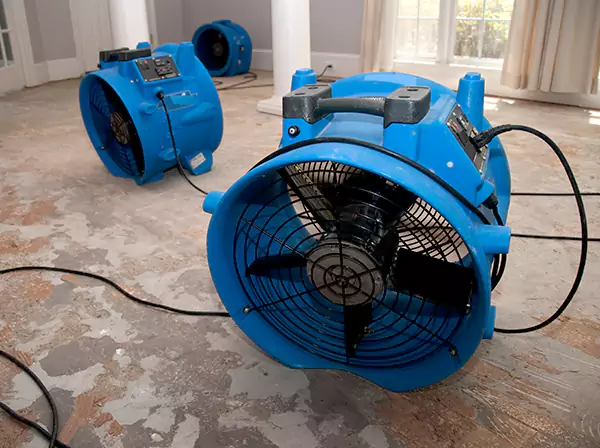Water Damage Reconstruction in Mineral Bluff