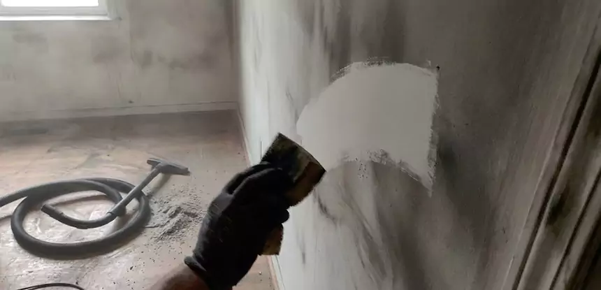 Professional Water and Fire Damage Restoration Services in Mineral Bluff, GA