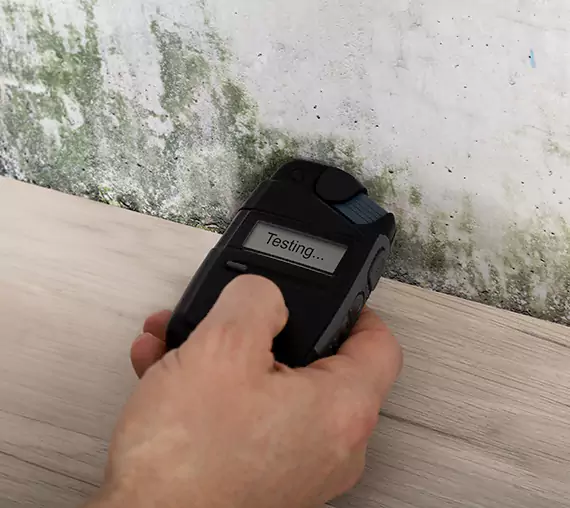 Mold Remediation Service Mineral Bluff
